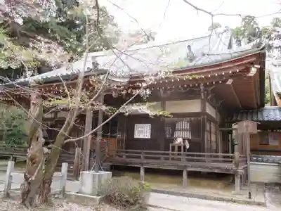 勝持寺(花の寺)の本殿・本堂