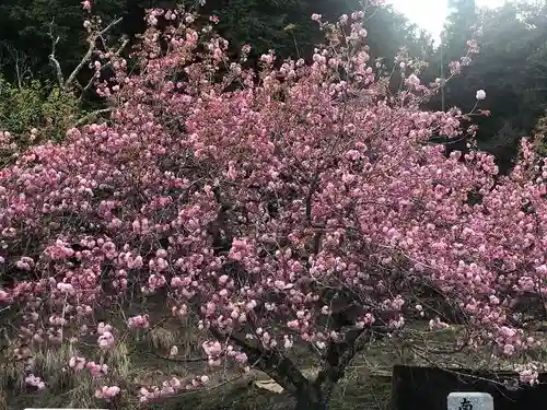 木舟山　順教寺の自然