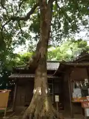 氷川女體神社(埼玉県)