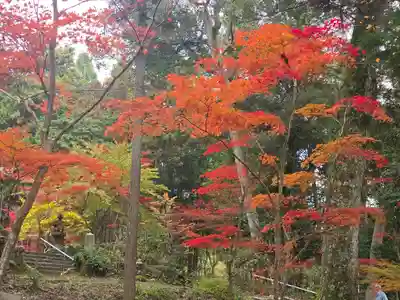 天台宗 五大山 白毫寺(兵庫県)