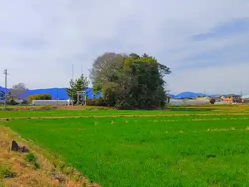 津島社（新右ｴ門新田）の自然