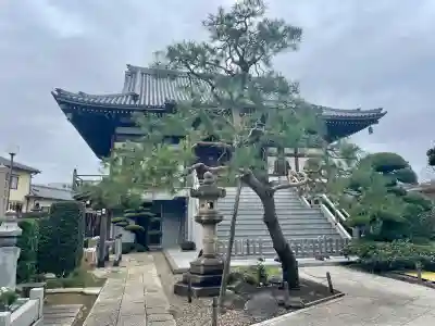 来迎寺(東京都)