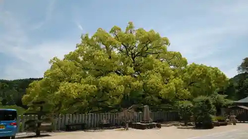 遍明院の景色