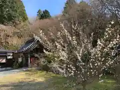 百済寺の建物その他