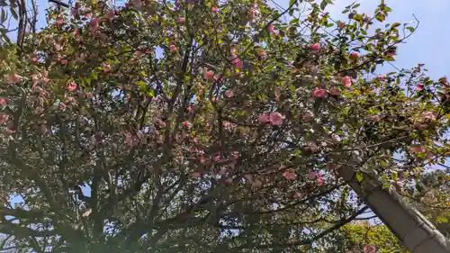 霊源院(京都府)