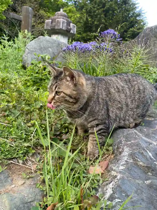 鳳仙寺の{uncategorized: "未分類", other: "その他", undefined: "問題あり", building: "その他建物", grave: "お墓", sacred_gate: "鳥居", guardian: "狛犬", statue: "像", buddha: "仏像", history: "歴史", nature: "自然", garden: "庭園", animal: "動物", pagoda: "塔", temizu: "手水舎", mountain_gate: "山門・神門", sanctuary: "本殿・本堂", subordinate: "末社・摂社", art: "芸術", scenery: "景色", jizo: "地蔵", ema: "絵馬", goshuin: "御朱印", omikuji: "おみくじ", items: "授与品その他", amulet: "お守り", goshuincho: "御朱印帳", eats: "食事", festival: "お祭り", votive_dance: "神楽", shichigosan: "七五三参", wedding: "結婚式", experience: "体験その他", initially: "初詣", around: "周辺", anti_infection: "感染症対策"}