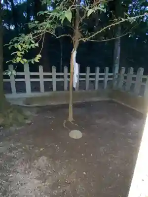 鹿島神宮(茨城県)