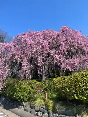 櫻木神社(千葉県)