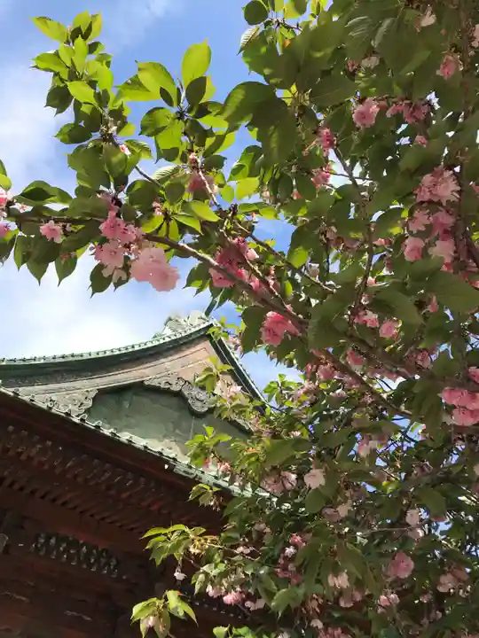 護国寺のその他建物