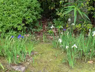 平安神宮(京都府)