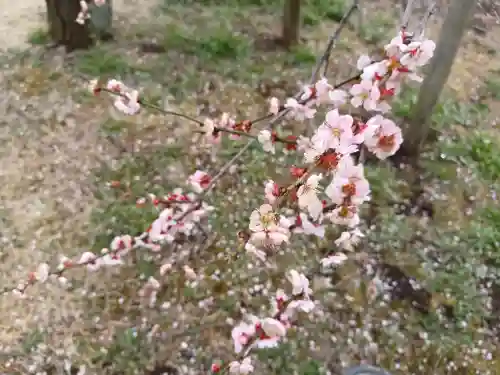 常磐神社(茨城県)