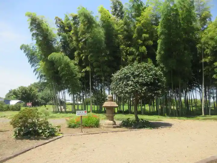 下野薬師寺 (旧 安國寺)(栃木県)