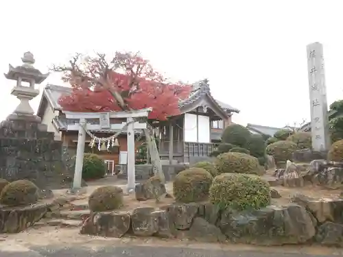 藤井秋葉社の鳥居