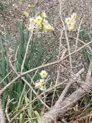 伊勢大神宮の自然