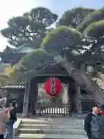 長谷寺(神奈川県)