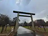 札幌護國神社の鳥居