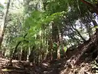 能理刀神社の自然