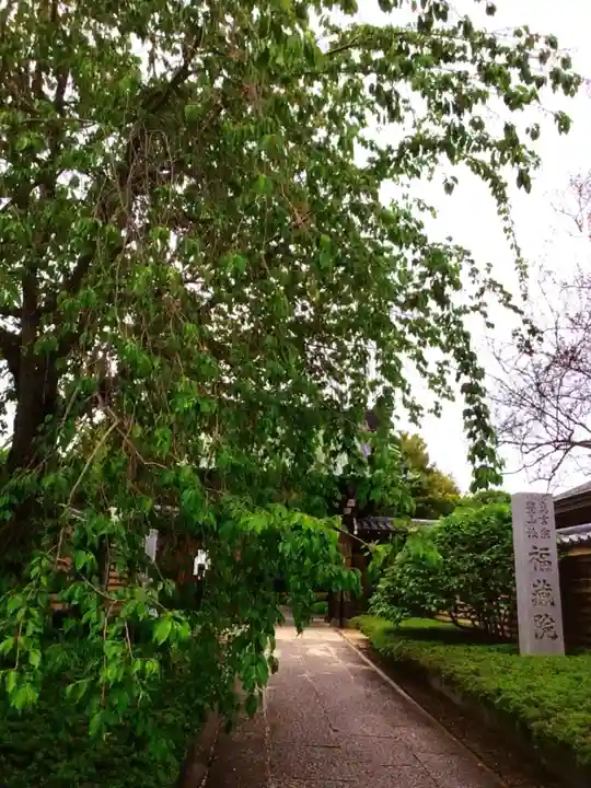 福蔵院(東京都)