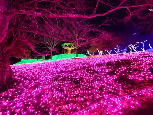 長谷寺(神奈川県)