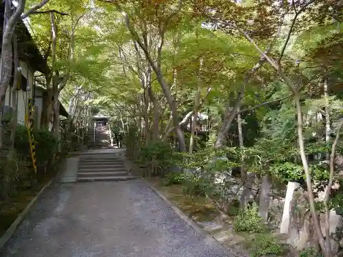 神峯山寺の自然