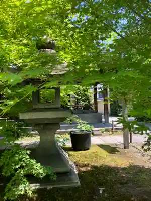 勝林寺(京都府)