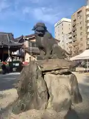 浅草神社の狛犬