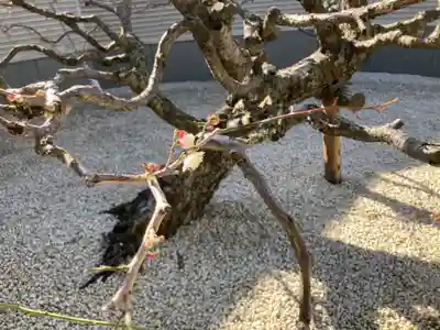 勝楽寺(東京都)