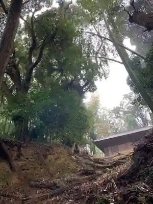 浅間神社のその他建物