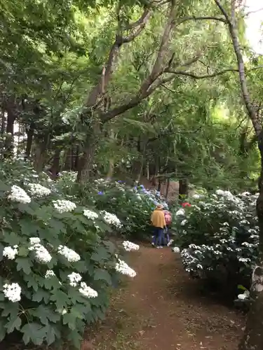 大宝八幡宮の庭園