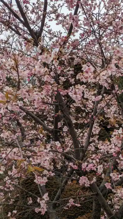 荏柄八幡社(東京都)