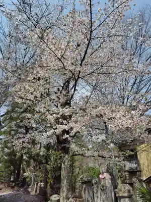 三光院(群馬県)