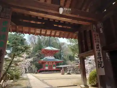 慈尊院の山門・神門