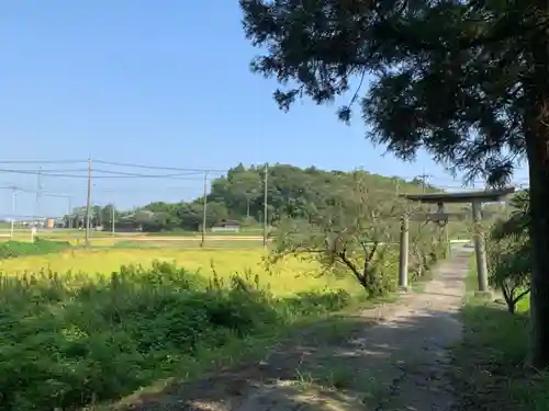 長谷神社の鳥居