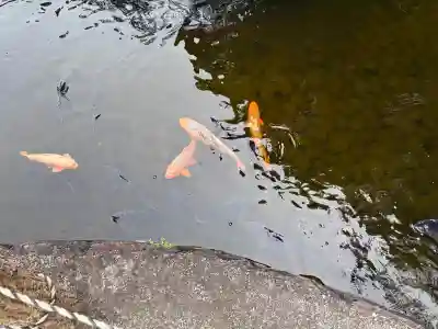 秋葉總本殿可睡斎(静岡県)