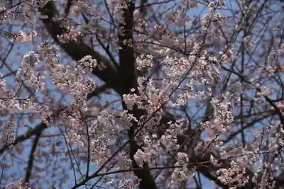 曹洞宗 永松山 龍泉寺の自然