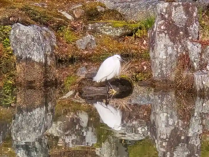 天龍寺(京都府)
