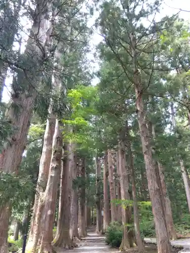 雄山神社中宮祈願殿の{uncategorized: "未分類", other: "その他", undefined: "問題あり", building: "その他建物", grave: "お墓", sacred_gate: "鳥居", guardian: "狛犬", statue: "像", buddha: "仏像", history: "歴史", nature: "自然", garden: "庭園", animal: "動物", pagoda: "塔", temizu: "手水舎", mountain_gate: "山門・神門", sanctuary: "本殿・本堂", subordinate: "末社・摂社", art: "芸術", scenery: "景色", jizo: "地蔵", ema: "絵馬", goshuin: "御朱印", omikuji: "おみくじ", items: "授与品その他", amulet: "お守り", goshuincho: "御朱印帳", eats: "食事", festival: "お祭り", votive_dance: "神楽", shichigosan: "七五三参", wedding: "結婚式", experience: "体験その他", initially: "初詣", around: "周辺", anti_infection: "感染症対策"}