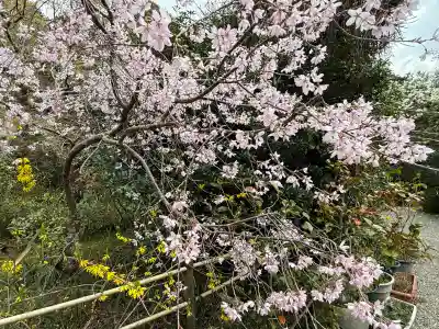 不退寺(奈良県)
