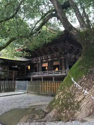 金刀比羅宮の本殿・本堂