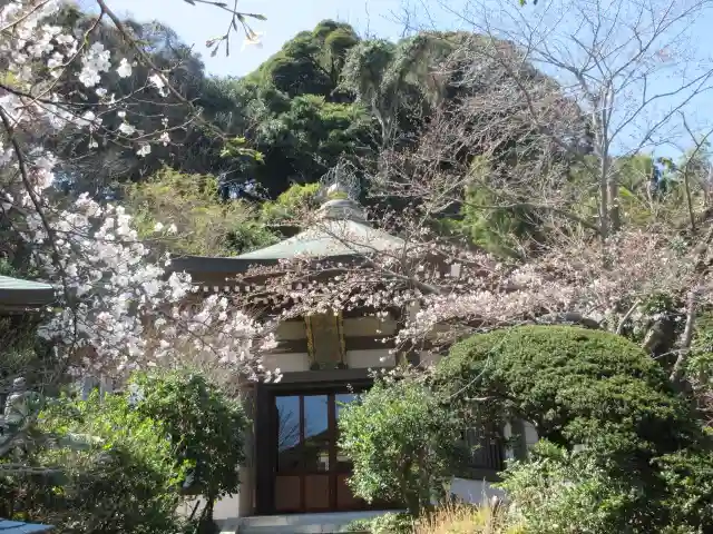 長勝寺の景色
