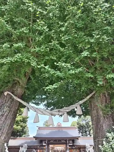 亀ケ池八幡宮(神奈川県)