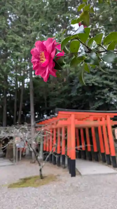 建部大社(滋賀県)