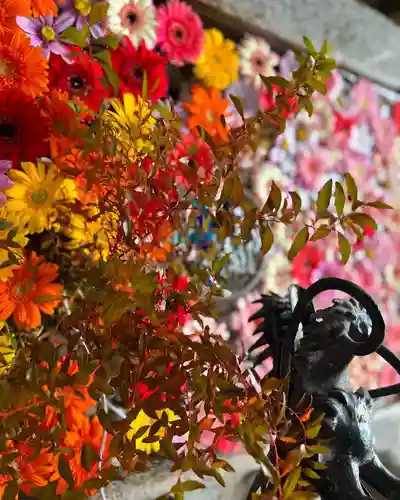 札幌諏訪神社の手水舎