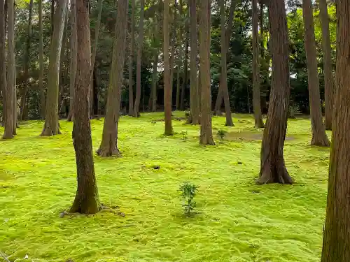 唐招提寺の自然