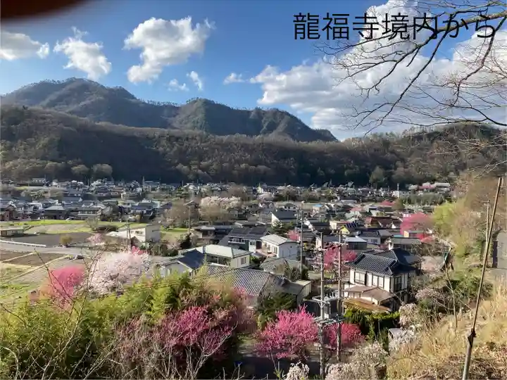 龍福寺 鳥羽堂観音(長野県)