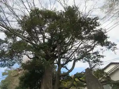 菅原神社(神奈川県)
