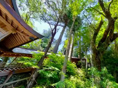 丹生川上神社（下社）(奈良県)