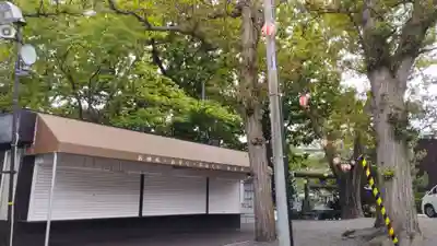 手稲神社(北海道)