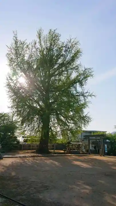 丹生酒殿神社(和歌山県)