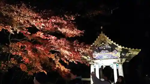 輪王寺の手水舎